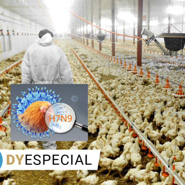 Resurge la peligrosa gripe aviar H7N9 en EE.UU., frente a la Península de Yucatán