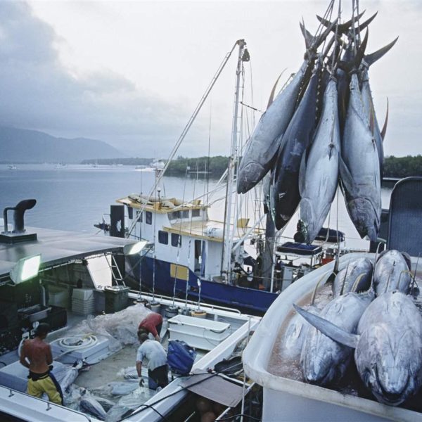 La pesca ilegal en America Latina y el Caribe