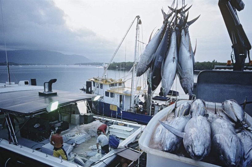 La pesca ilegal en America Latina y el Caribe