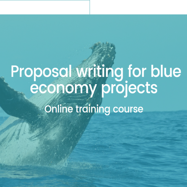 Online course EU Proposal Writing for Blue Economy Projects