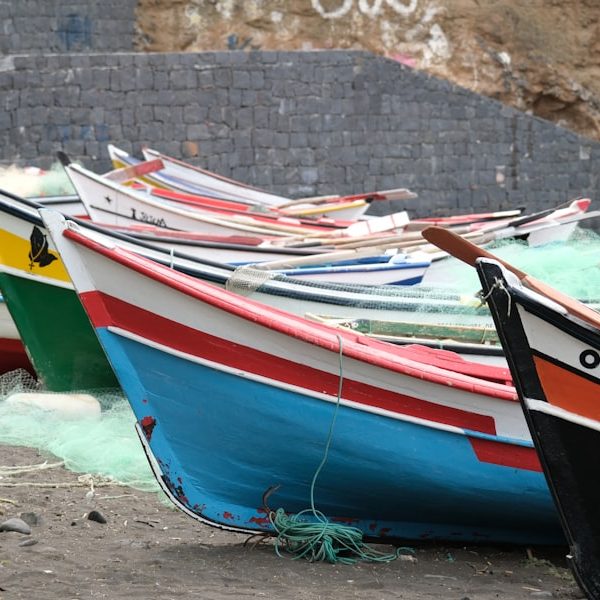 El impacto de la temporada de lluvias en la pesca en ríos