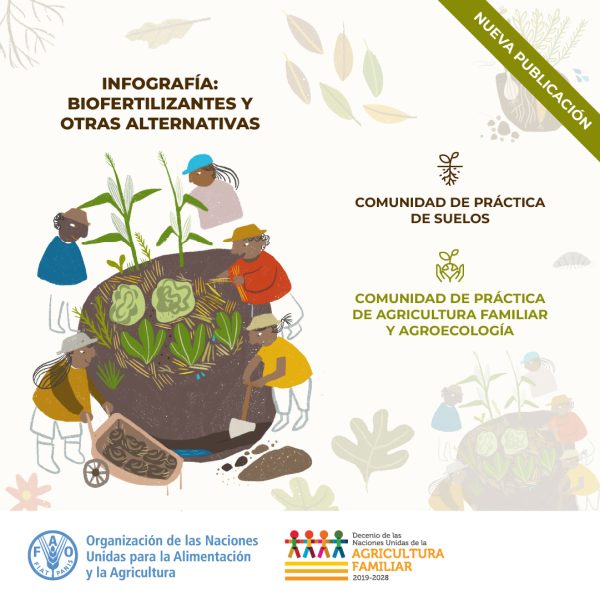 Biofertilizantes y otras tecnologías disponibles para enfrentar la Crisis de los Fertilizantes en la Región de América Latina y el Caribe