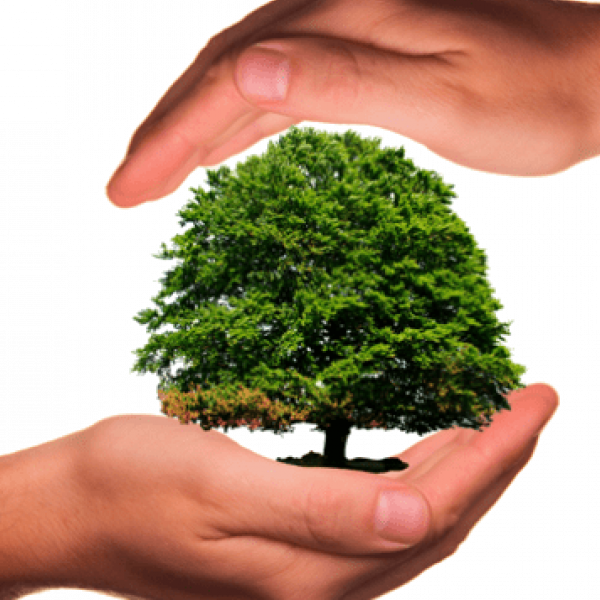Convocatoria al II Encuentro Internacional de Fundaciones y Organizaciones de la sociedad civil, Unidos por el clima (La Habana, Cuba)