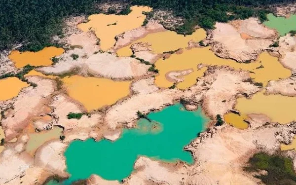 Brasil: mineros ilegales expulsados de la Amazonía