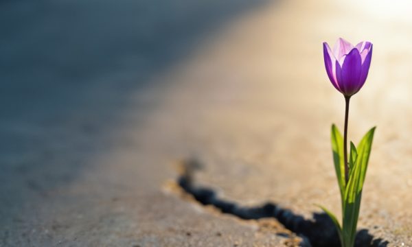 I Congreso Internacional Resiliencia.Enfoques Multidisciplinariospara un Futuro Sostenible