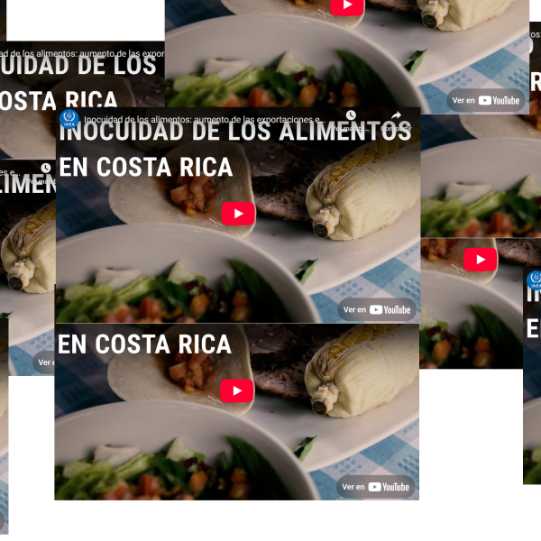 Inocuidad de los alimentos: aumento de las exportaciones en Costa Rica
