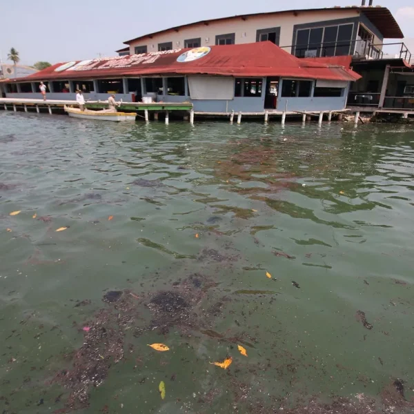 Derrame de petróleo en costas del Golfo de México; ¿afecta áreas naturales protegidas?