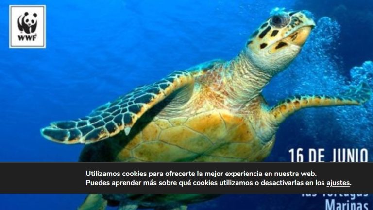 16 de junio Día Mundial de la Tortuga Marina