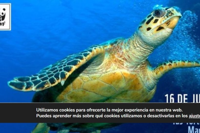 16 de junio Día Mundial de la Tortuga Marina