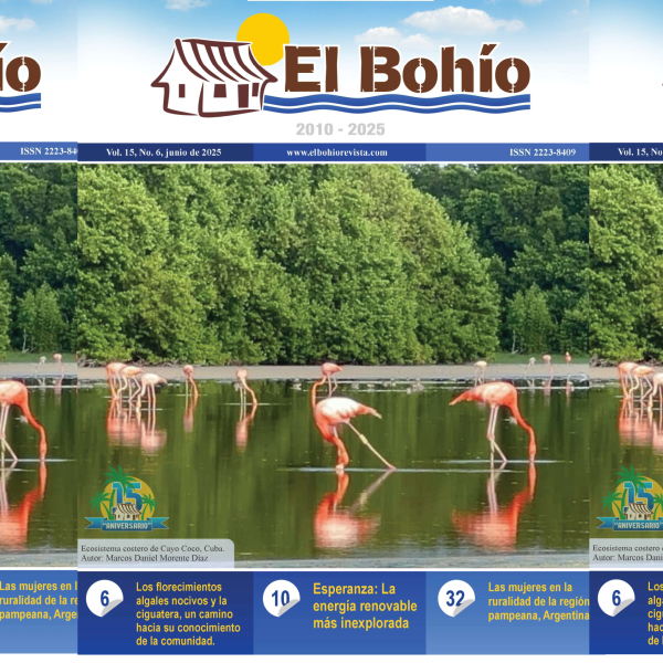 El Bohío Revista Electrónica, Vol. 15, No. 6, Junio de 2025.