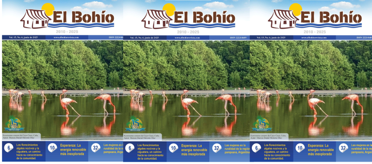 El Bohío Revista Electrónica, Vol. 15, No. 6, Junio de 2025.