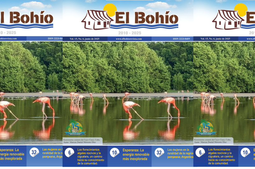 El Bohío Revista Electrónica, Vol. 15, No. 6, Junio de 2025.
