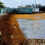 RD podría recibir más de 3.5 millones de toneladas de sargazo en 2025, según Medio Ambiente