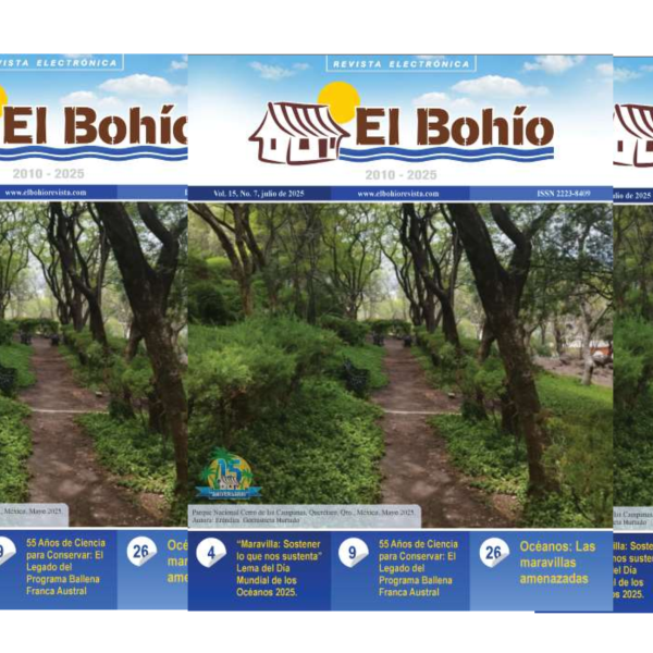 El Bohío Revista Electrónica, Vol. 15, No. 7, Julio de 2025