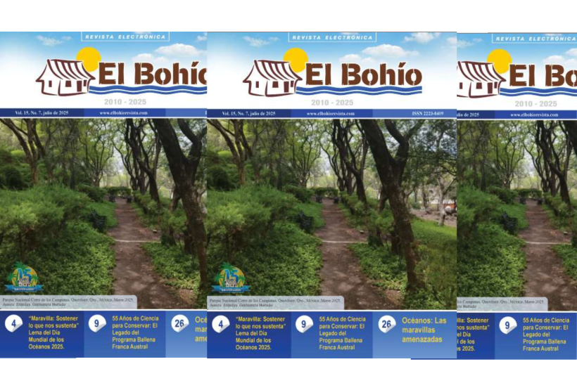 El Bohío Revista Electrónica, Vol. 15, No. 7, Julio de 2025