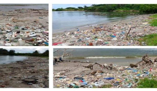 El reciclaje, el primer paso de su control