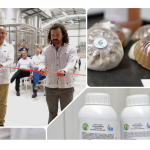 YUCATÁN INNOVA CON PLANTA QUE CONVIERTE SARGAZO EN BIOFERTILIZANTES