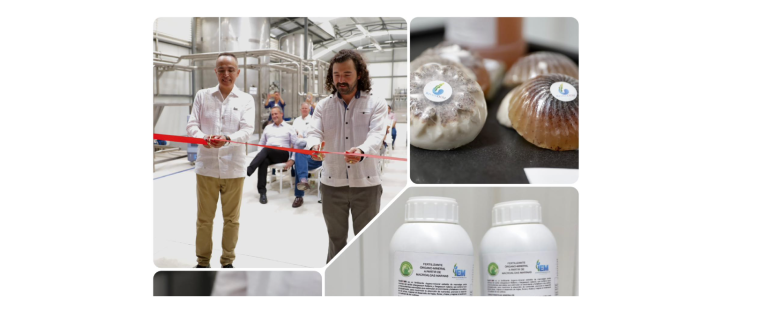 YUCATÁN INNOVA CON PLANTA QUE CONVIERTE SARGAZO EN BIOFERTILIZANTES