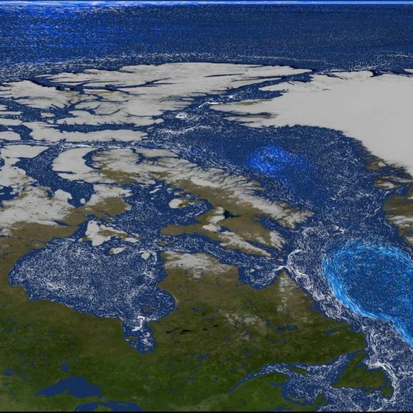 Científicos estadounidenses descubren que el deshielo de Groenlandia alimenta la vida oceánica, impulsando el crecimiento de fitoplancton hasta un 40%