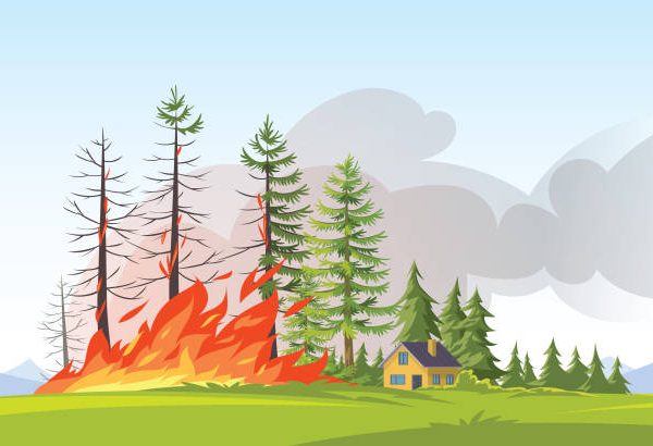 18 de Agosto. Día mundial de la Prevención de Incendios Forestales
