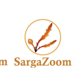 Entre el sargazo y la incertidumbre: así nació SargaZoom