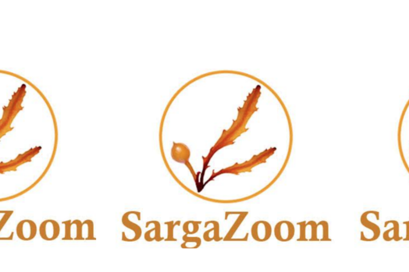 Entre el sargazo y la incertidumbre: así nació SargaZoom