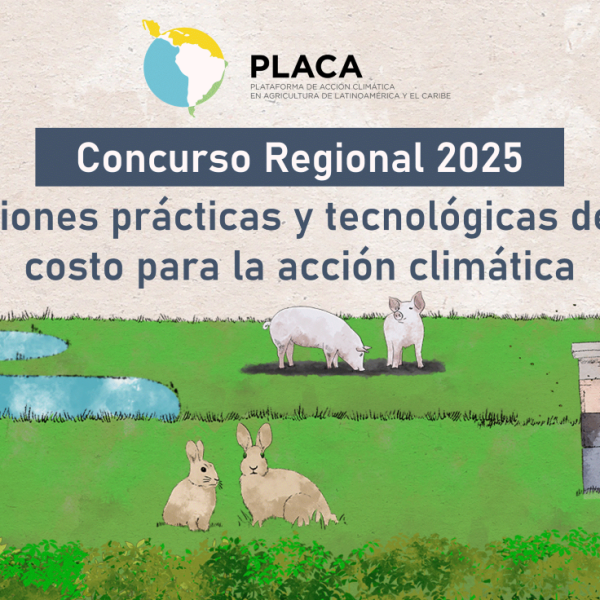 Concurso Regional PLACA 2025 – Soluciones prácticas y tecnológicas de bajo costo para la acción climática