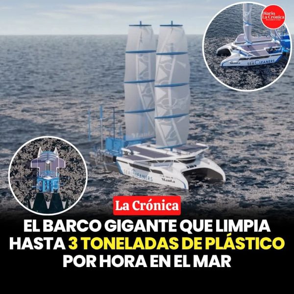 EL BARCO GIGANTE QUE LIMPIA HASTA 3 TONELADAS DE PLASTICOS POR HORA EN EL MAR