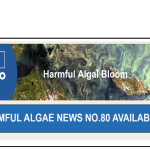 Harmful Algae News No.80 is now online!