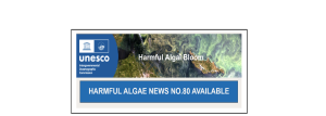 Harmful Algae News No.80 is now online!