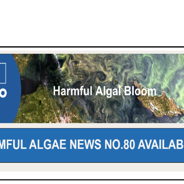 Harmful Algae News No.80 is now online!