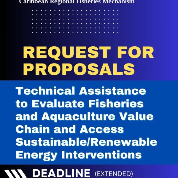 CONSULTANCY OPPORTUNITY