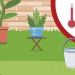 Barcelona reduce un 52% los focos de cria de mosquito tigre en la ciudad