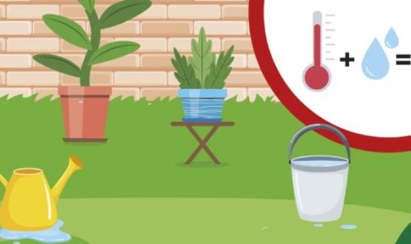 Barcelona reduce un 52% los focos de cria de mosquito tigre en la ciudad