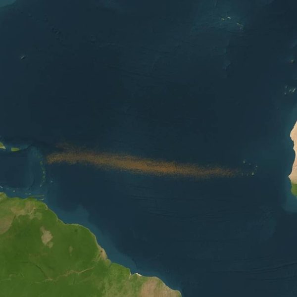 Aparece una franja marrón “continental” entre el océano Atlántico y África, y no es una buena señal