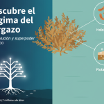 El Enigma del Sargazo: ¿Por Qué Este Alga y No Otra?