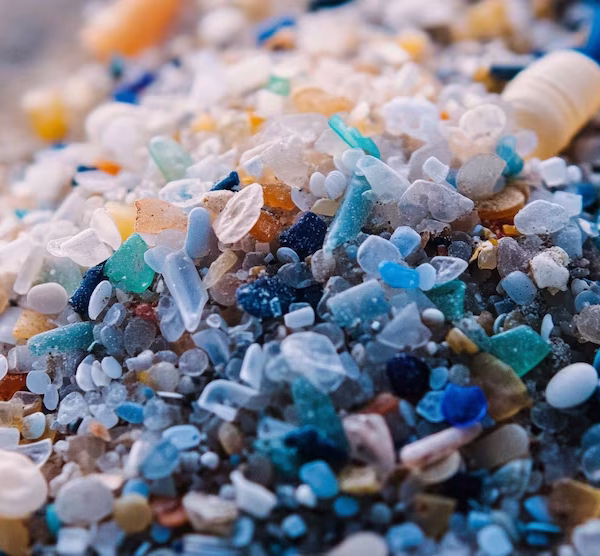 Los microplásticos en botellas de agua y su impacto metabólico