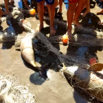 Contaminación en las costas bonaerenses: el 78% de la basura en las playas son plásticos