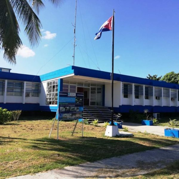 Centro cubano investigará microplásticos en organismos marinos